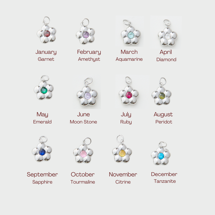 Birthstone Flower Zodiac Charm - Silver