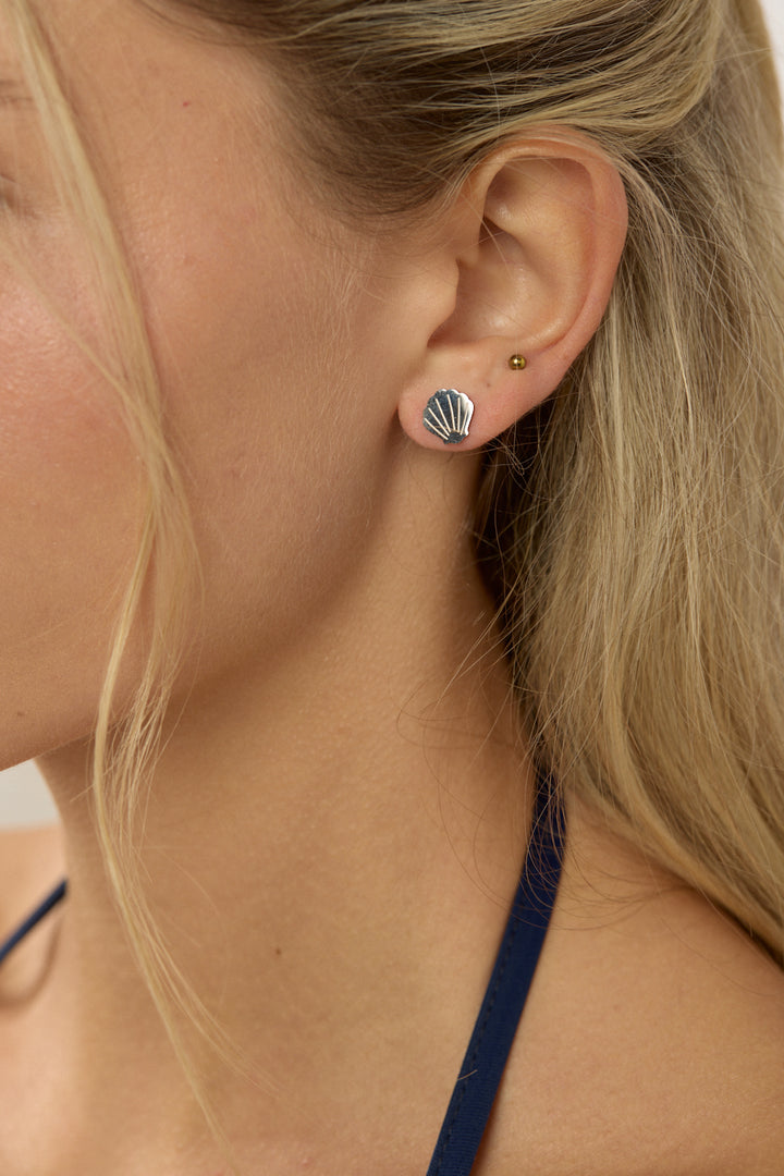 Shell Studs - Silver